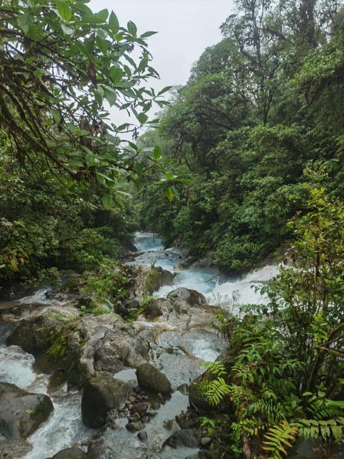 Selvatica Del Toro Apartman Bajos del Toro Kültér fotó
