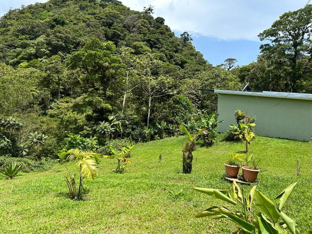 Selvatica Del Toro Apartman Bajos del Toro Kültér fotó