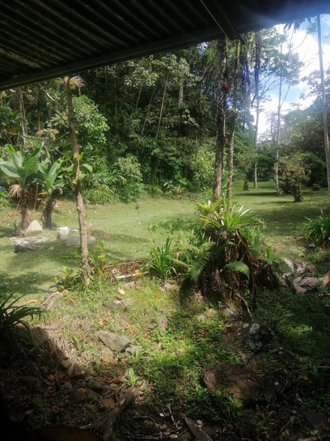 Selvatica Del Toro Apartman Bajos del Toro Kültér fotó