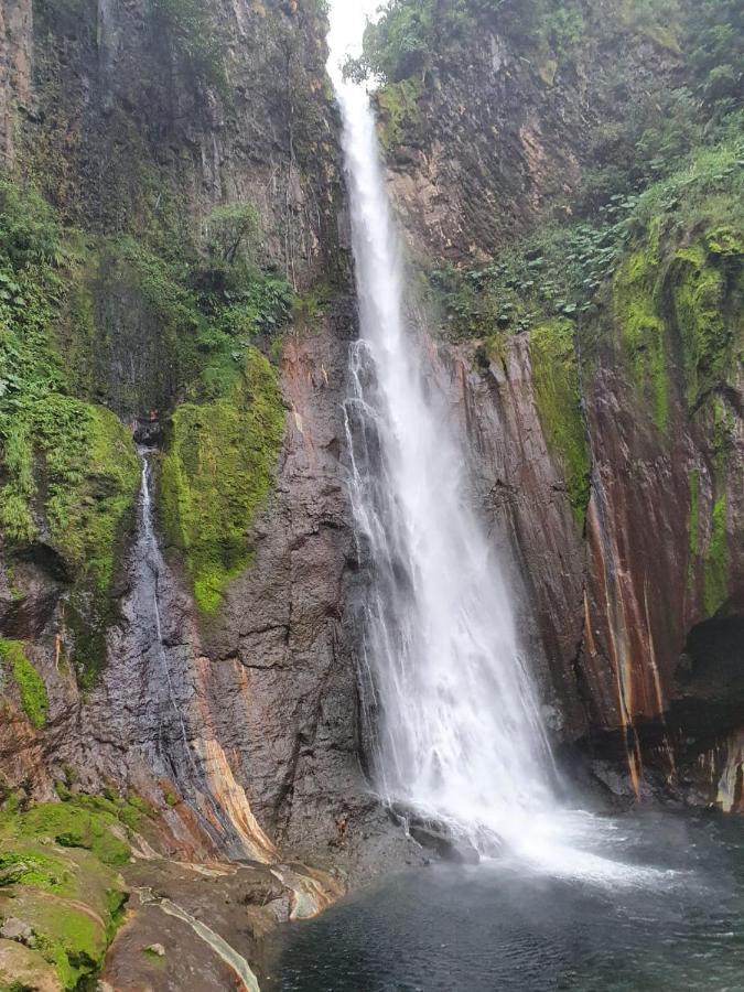 Selvatica Del Toro Apartman Bajos del Toro Kültér fotó